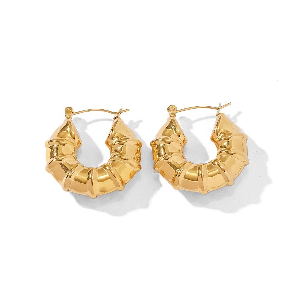 Nautilus Earrings