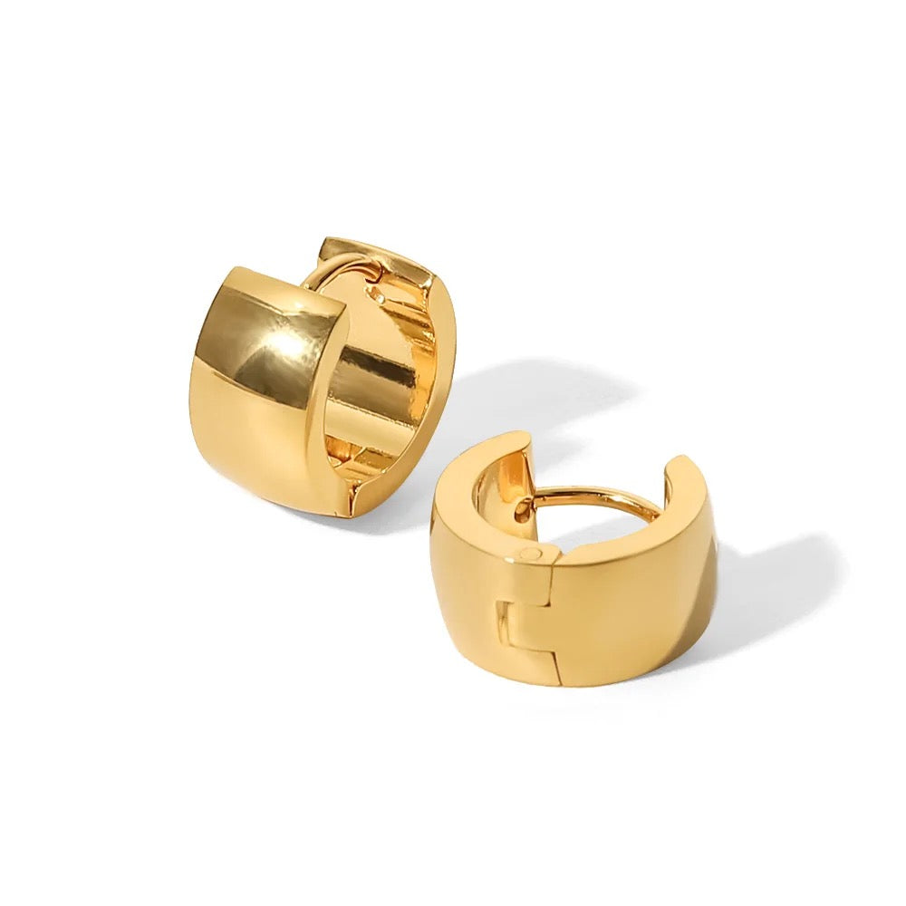 Titanium Hoops