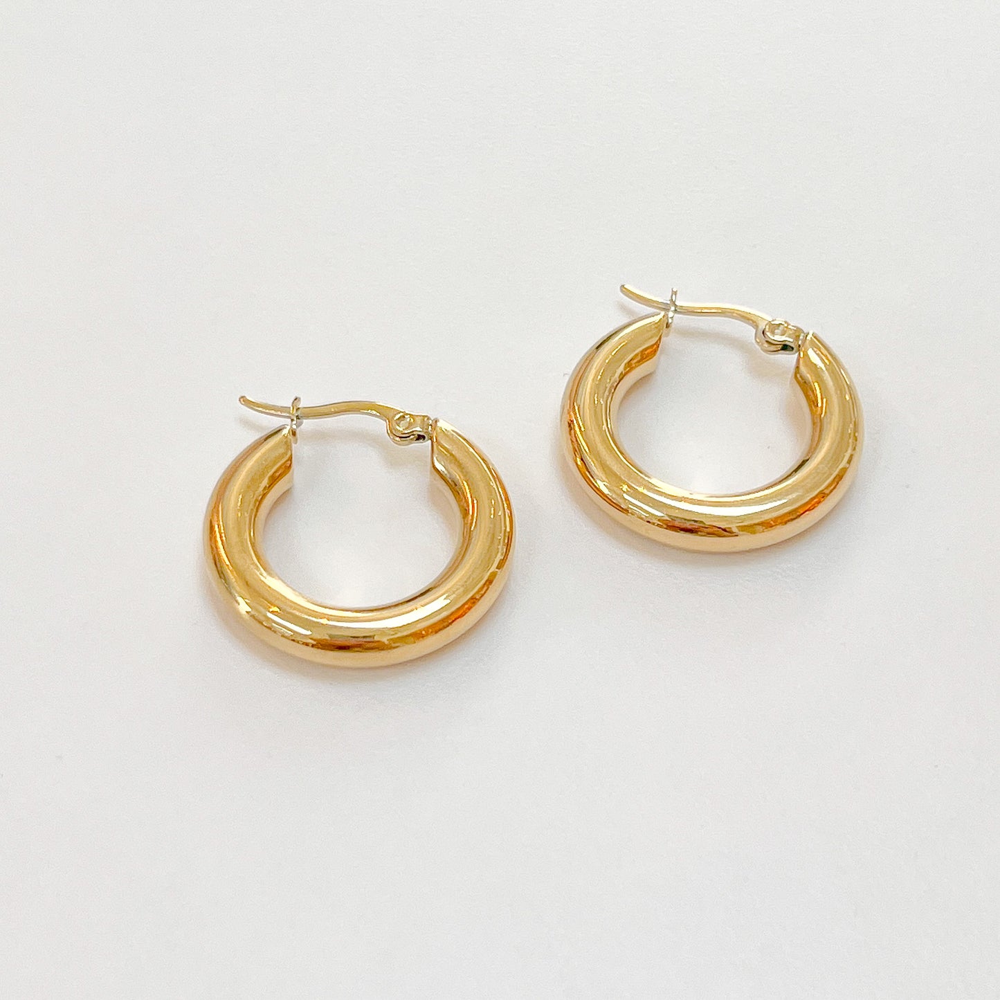 Amy Hoops
